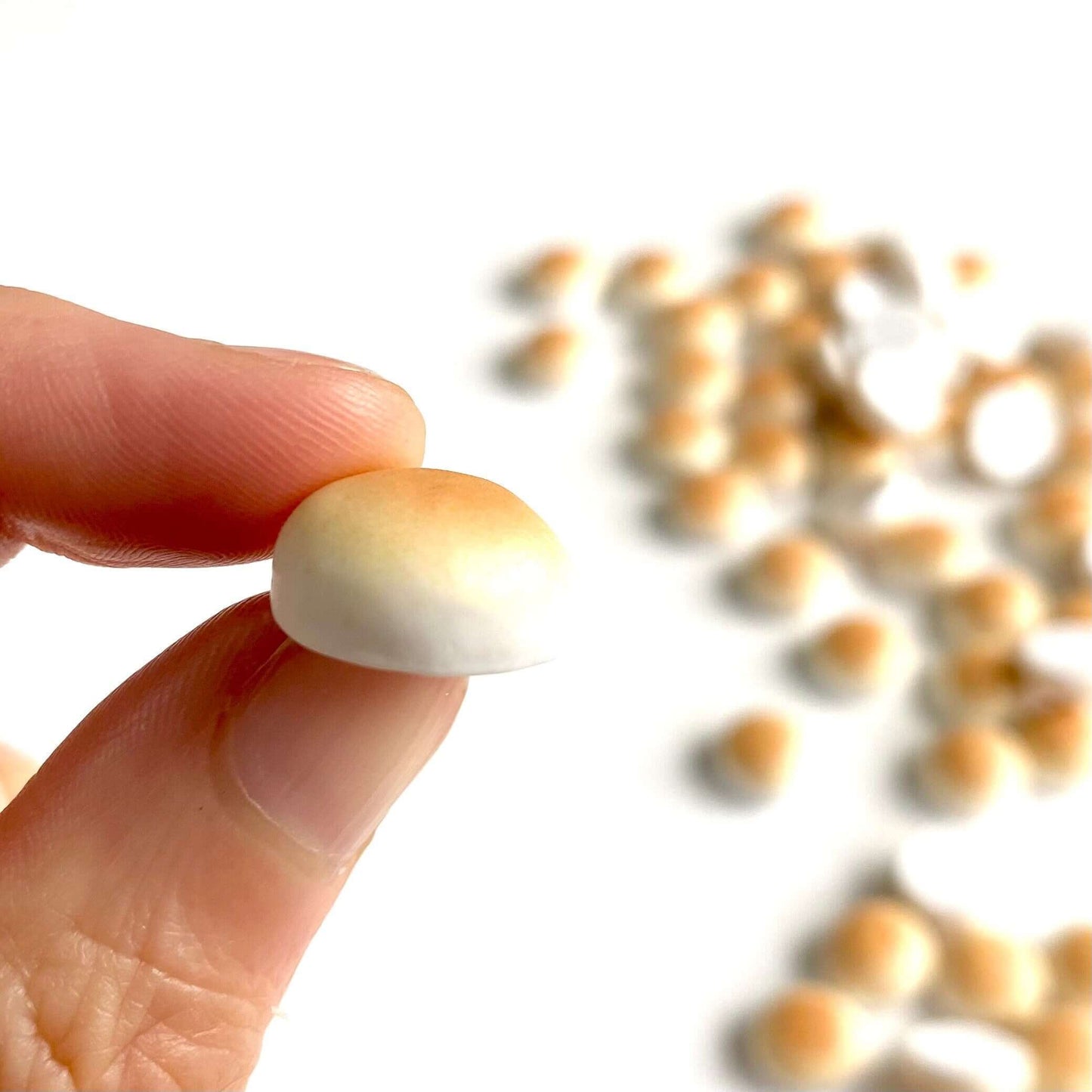 Miniature Bao Bun Bento box Dumpling resin Bread roll 1/6 scale - Blacksparrowuk