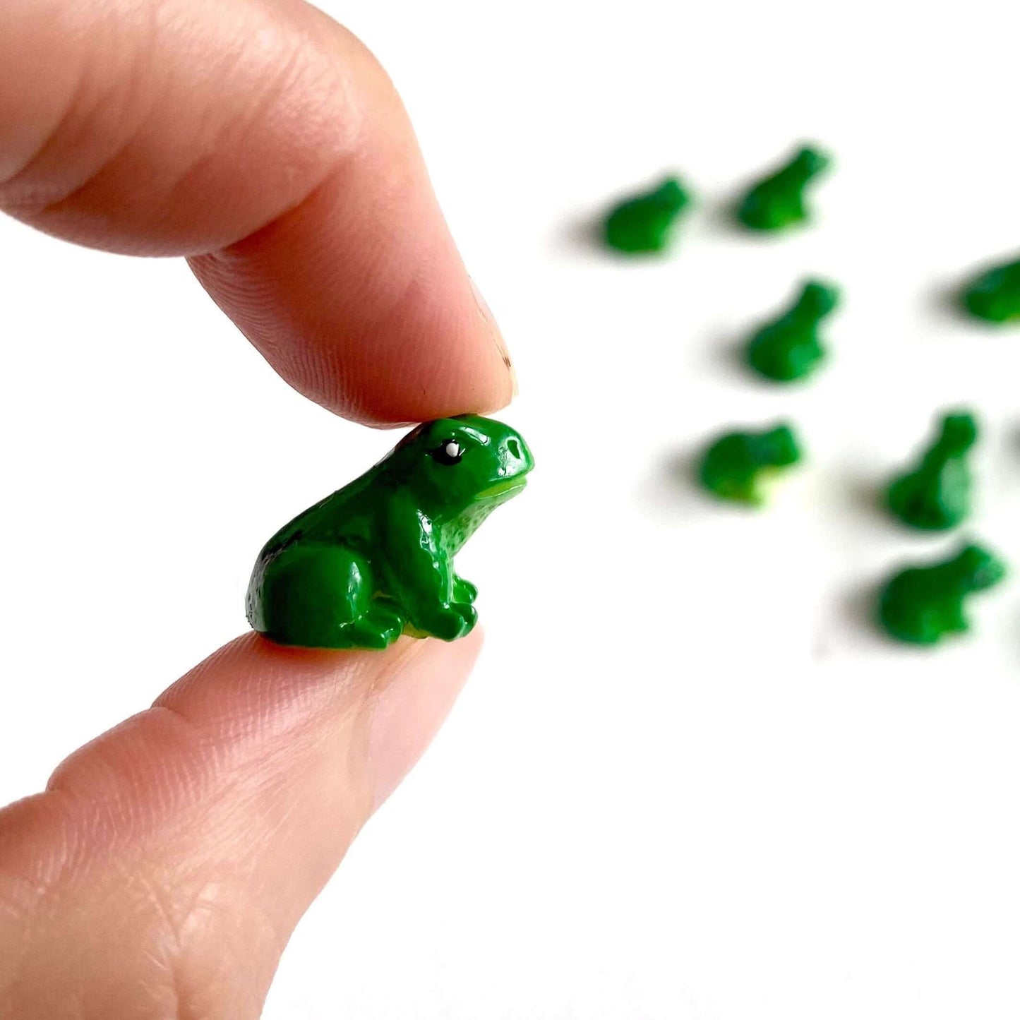 Miniature Frog resin dollhouse miniature terrarium fairy garden dolls toy - Blacksparrowuk