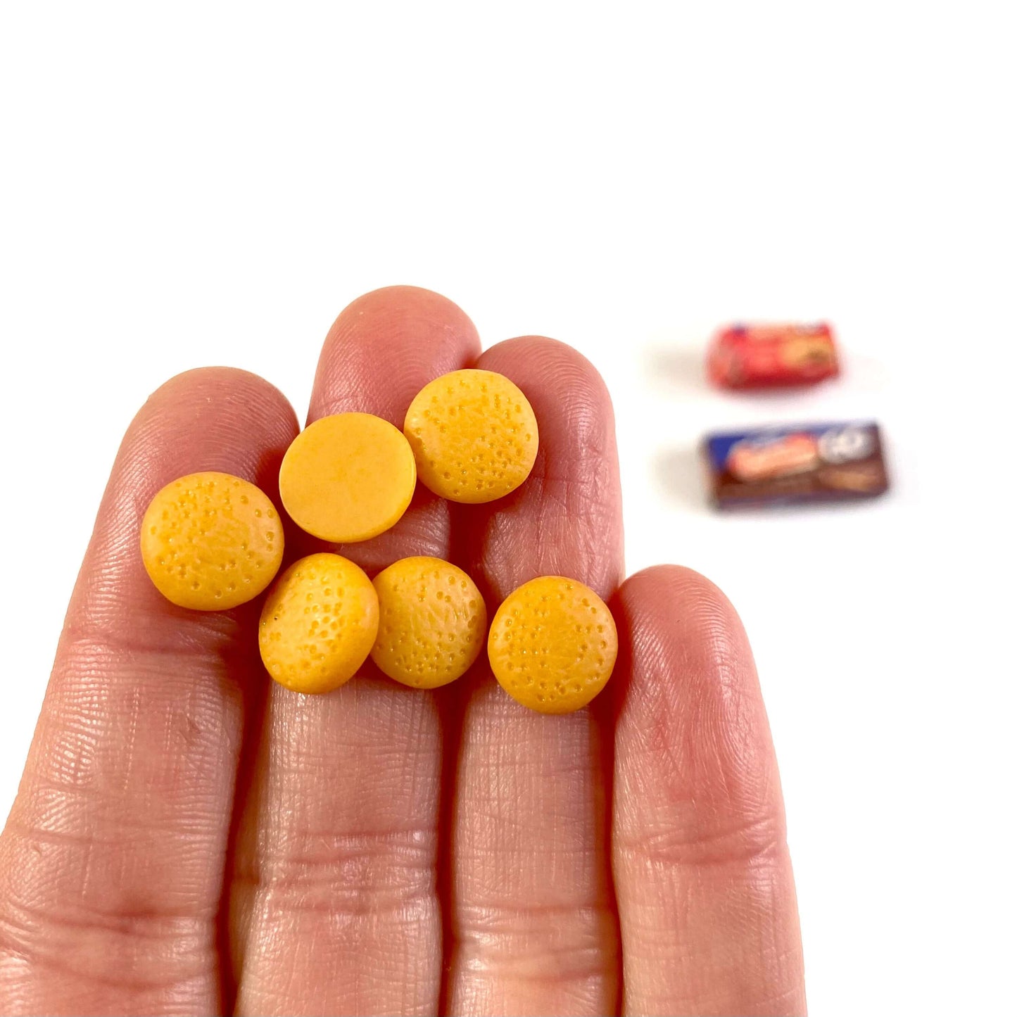 Miniature biscuits 1:6 scale Simulation resin food - 2 Boxes Plain and Chocolate and 6 biscuits - Blacksparrowuk