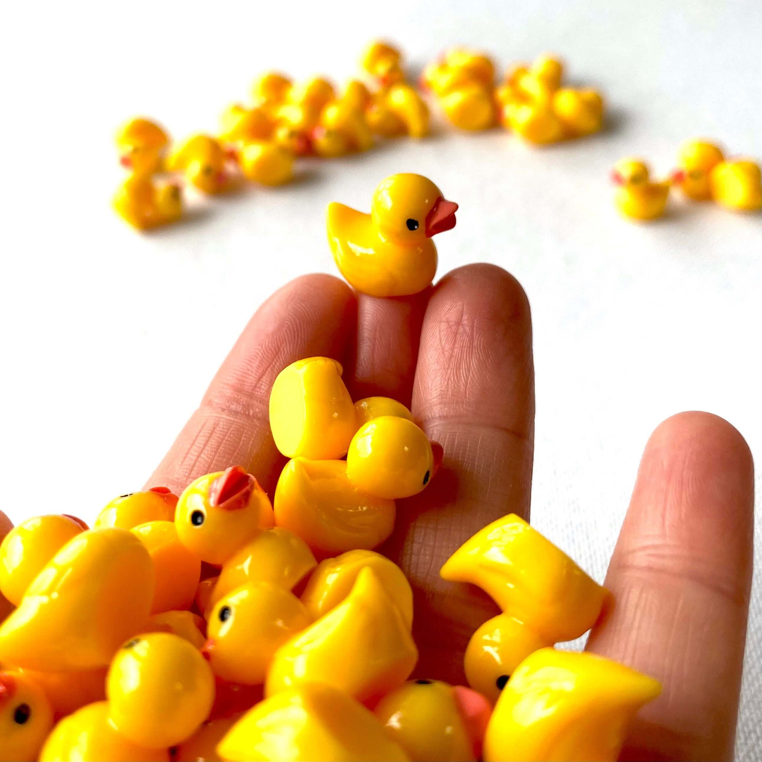 Miniature rubber ducks online