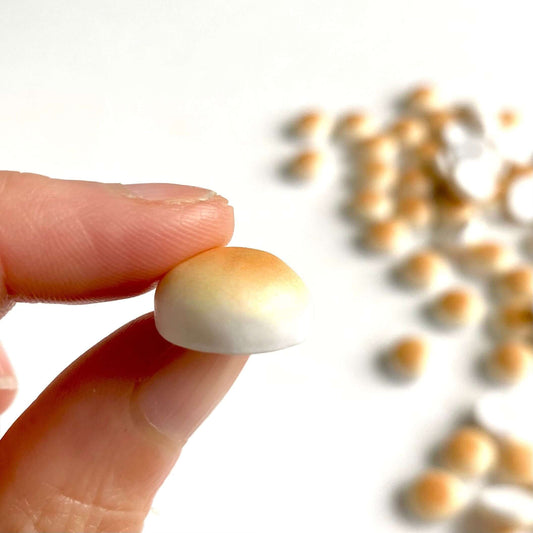 Miniature Bao Bun Bento box Dumpling resin Bread roll 1/6 scale - Blacksparrowuk