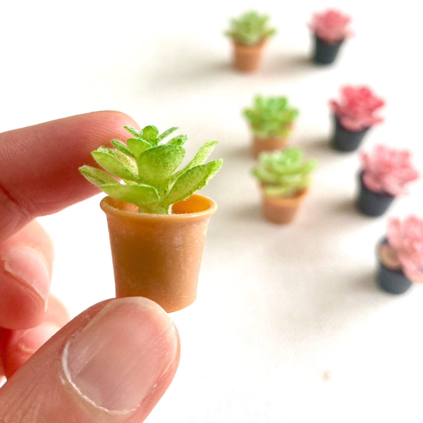 Miniature Dollhouse plants Cactus 1/6 Scale - Set of 2 - Realistic Blythe doll accessories - Blacksparrowuk