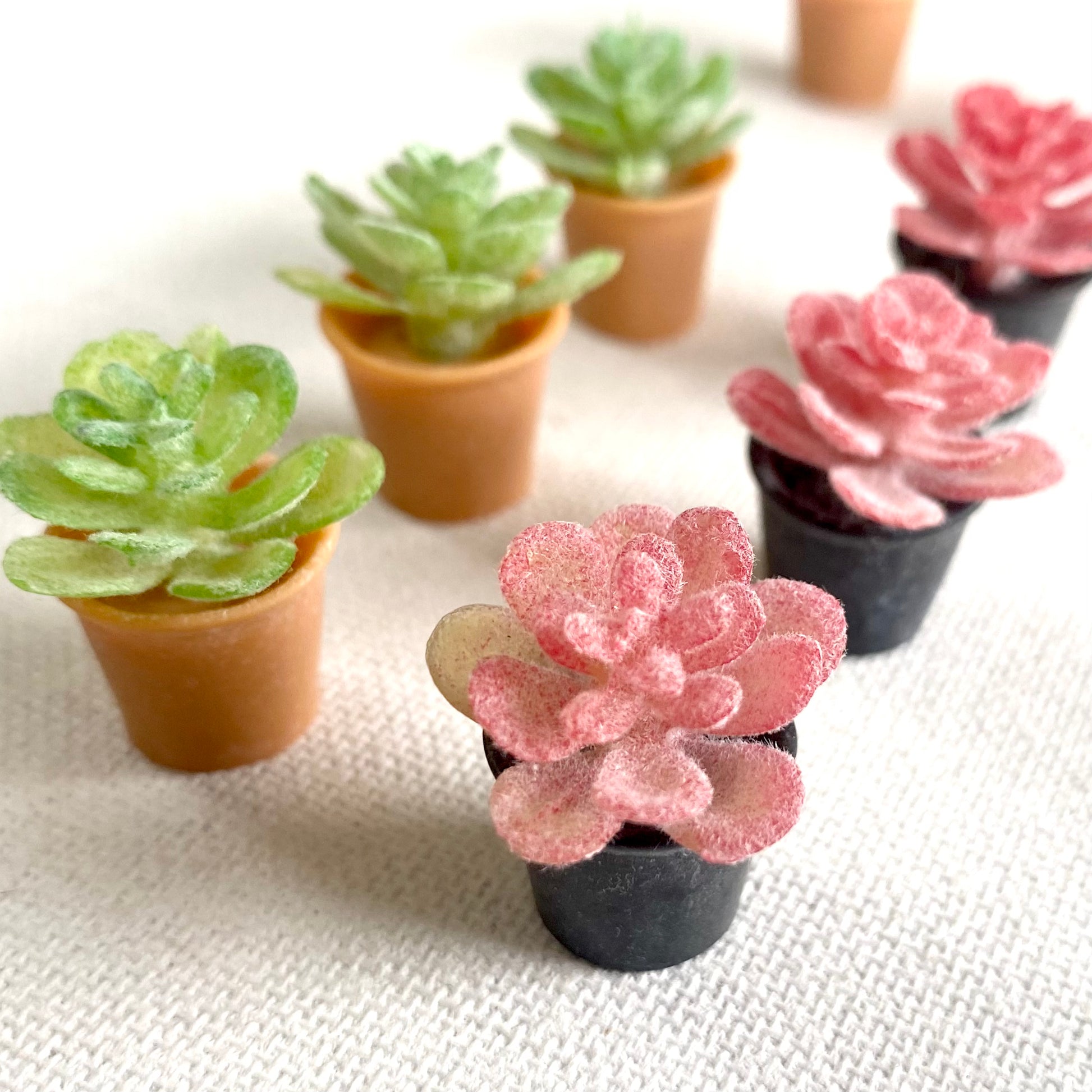 Miniature Dollhouse plants Cactus 1/6 Scale - Set of 2 - Realistic Blythe doll accessories - Blacksparrowuk