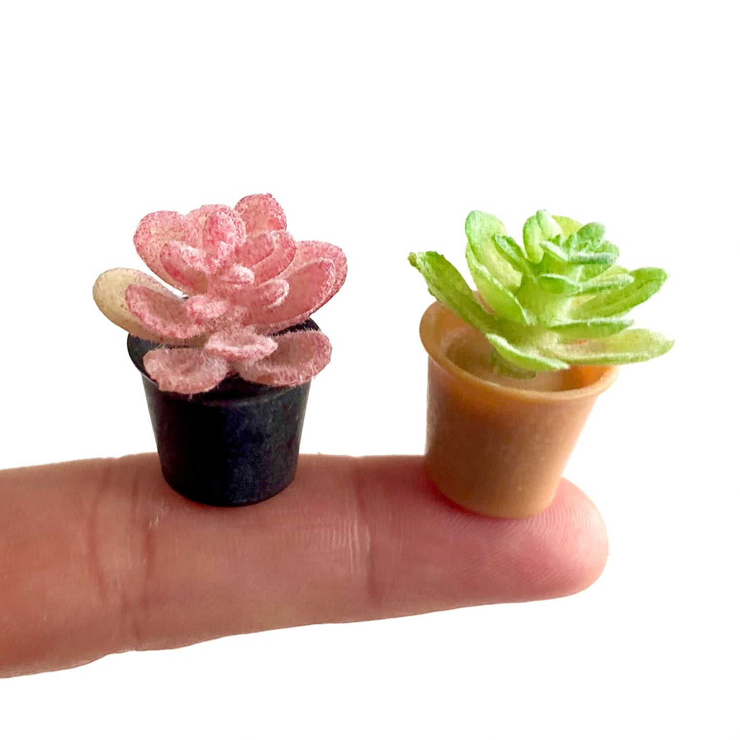 Miniature Dollhouse plants Cactus 1/6 Scale - Set of 2 - Realistic Blythe doll accessories - Blacksparrowuk