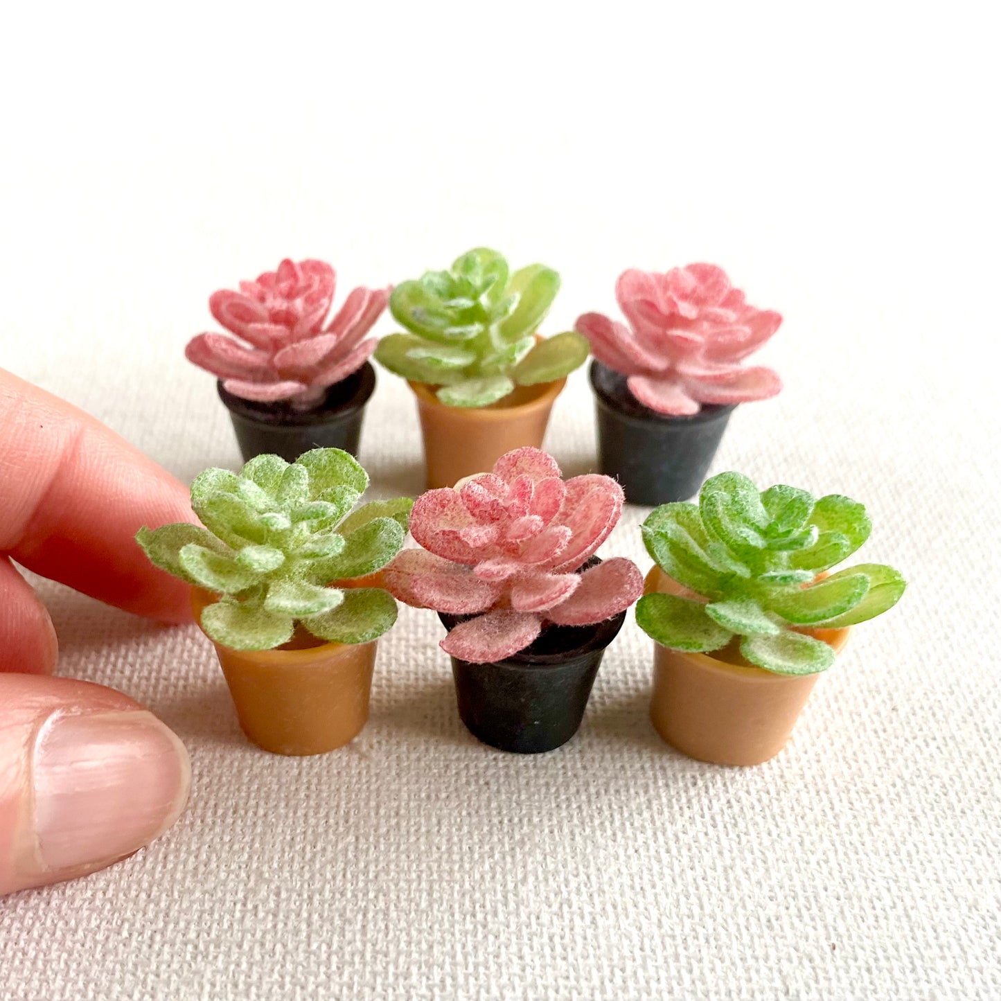 Miniature Dollhouse plants Cactus 1/6 Scale - Set of 2 - Realistic Blythe doll accessories - Blacksparrowuk