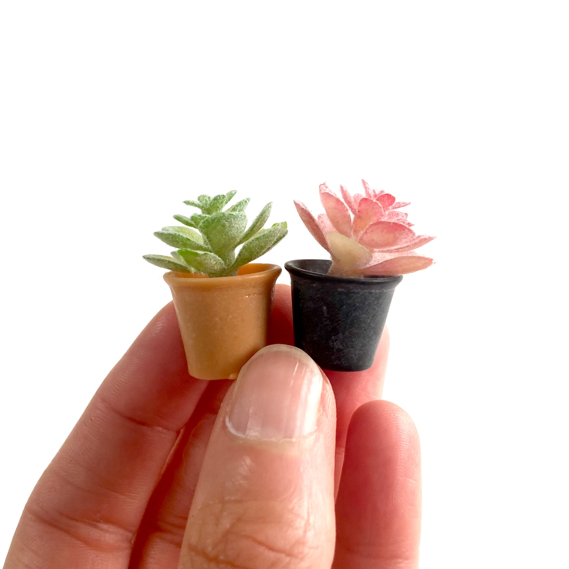 Miniature Dollhouse plants Cactus 1/6 Scale - Set of 2 - Realistic Blythe doll accessories - Blacksparrowuk