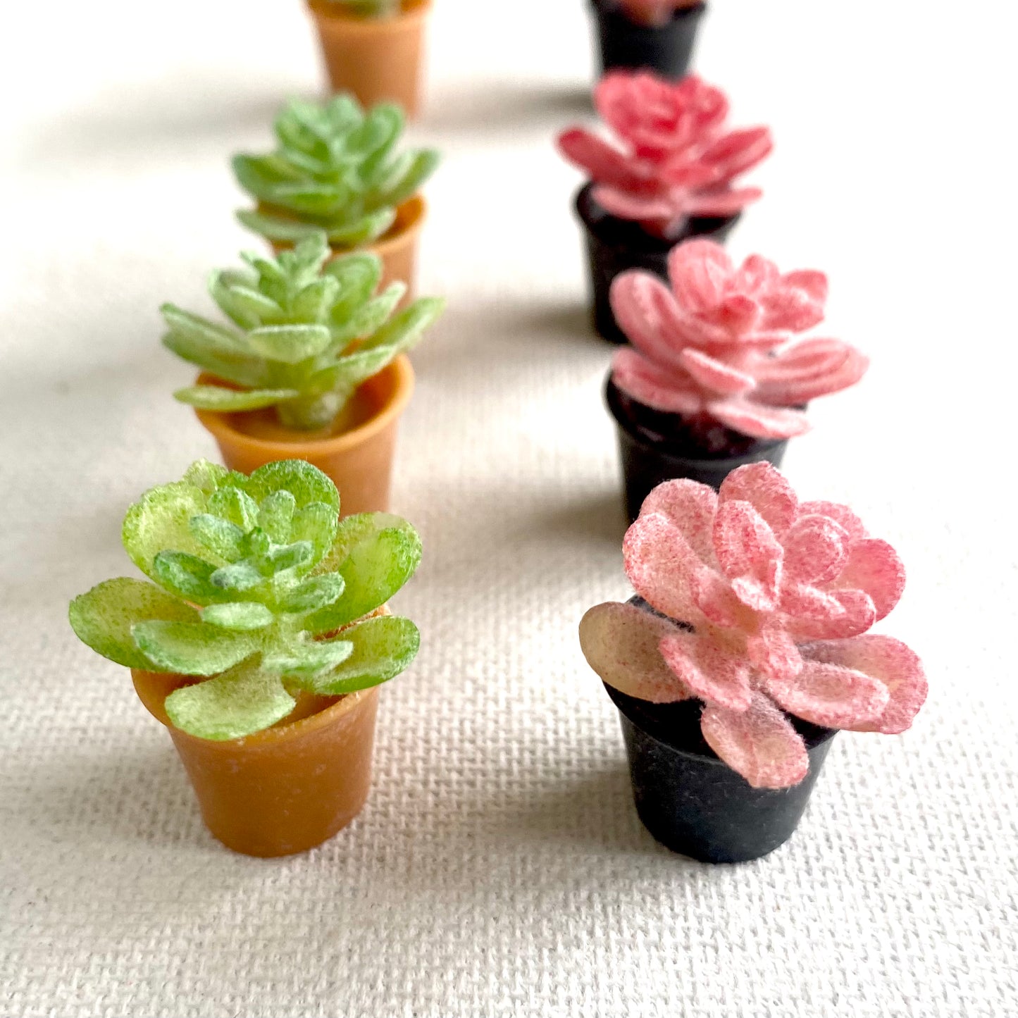 Miniature Dollhouse plants Cactus 1/6 Scale - Set of 2 - Realistic Blythe doll accessories - Blacksparrowuk