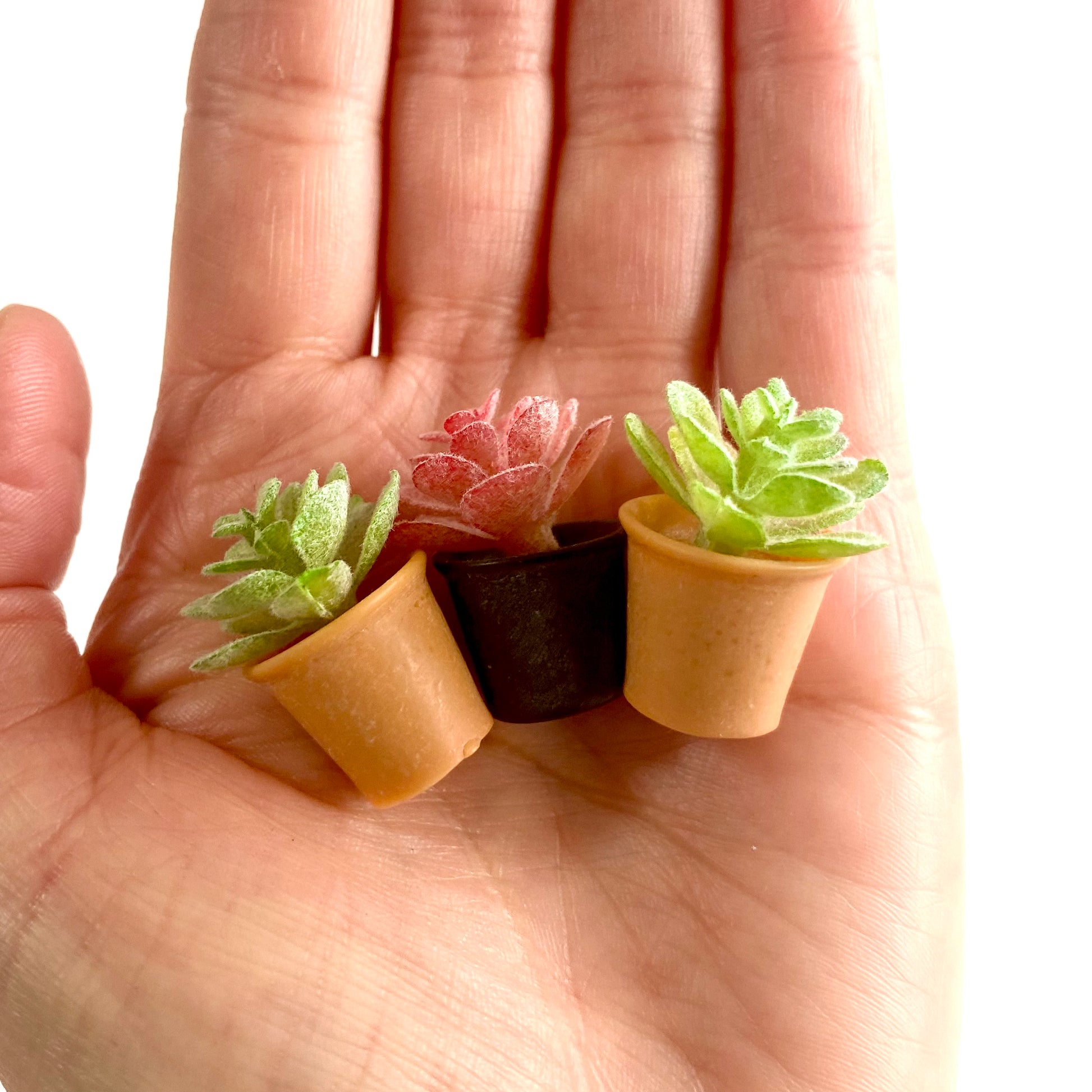 Miniature Dollhouse plants Cactus 1/6 Scale - Set of 2 - Realistic Blythe doll accessories - Blacksparrowuk