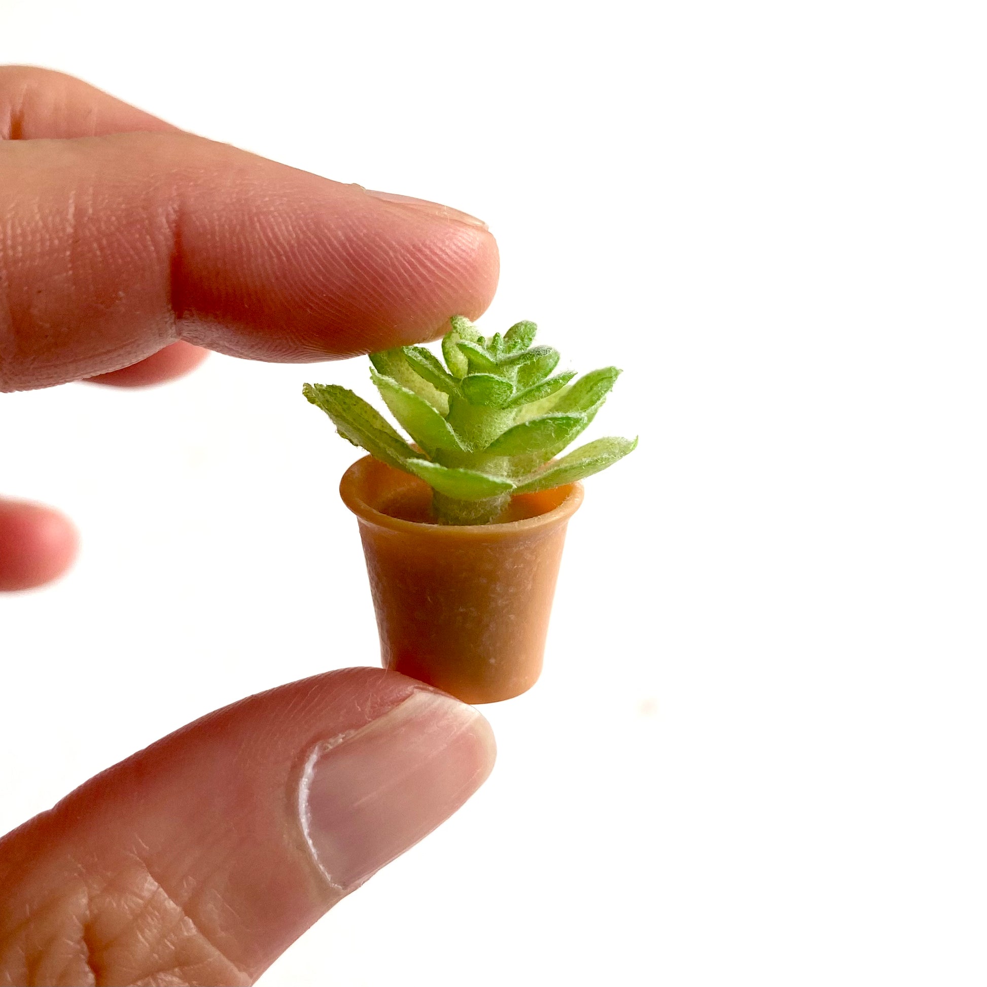 Miniature Dollhouse plants Cactus 1/6 Scale - Set of 2 - Realistic Blythe doll accessories - Blacksparrowuk