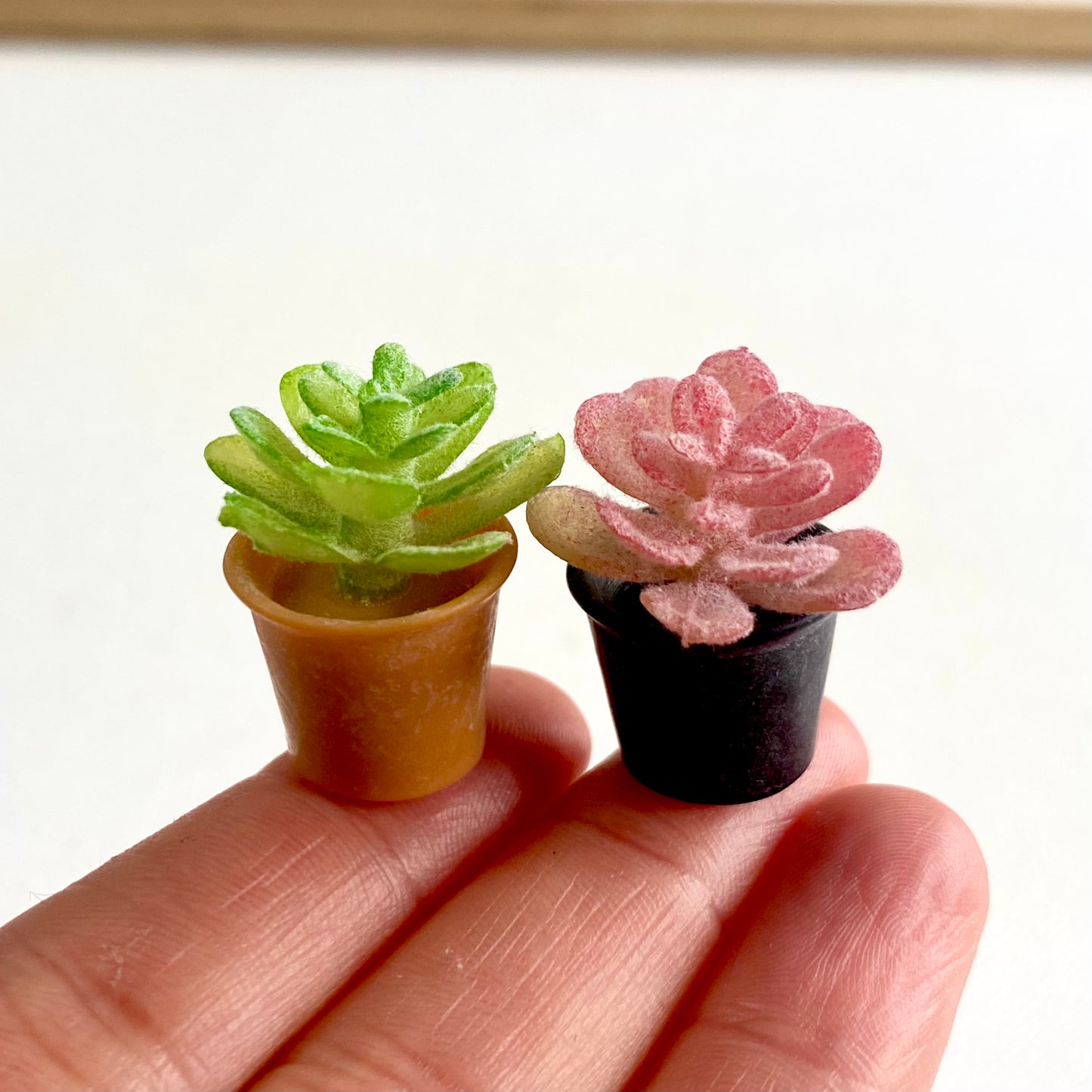 Miniature Dollhouse plants Cactus 1/6 Scale - Set of 2 - Realistic Blythe doll accessories - Blacksparrowuk